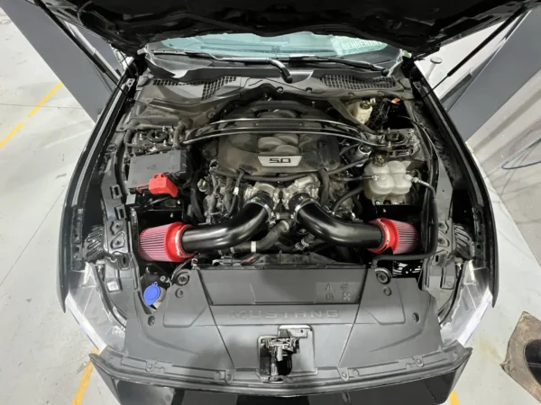 Mustang 5.0 2015 - 2023 Carbon Air Intake